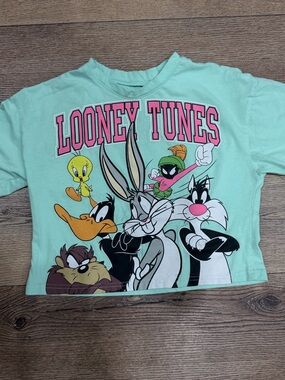 Warner Bros. Looney Tunes Tee in Mint with Pink Accents